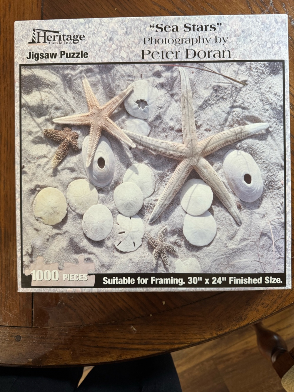 Heritage Sea Stars Puzzle - Beige and White Coastal Shells